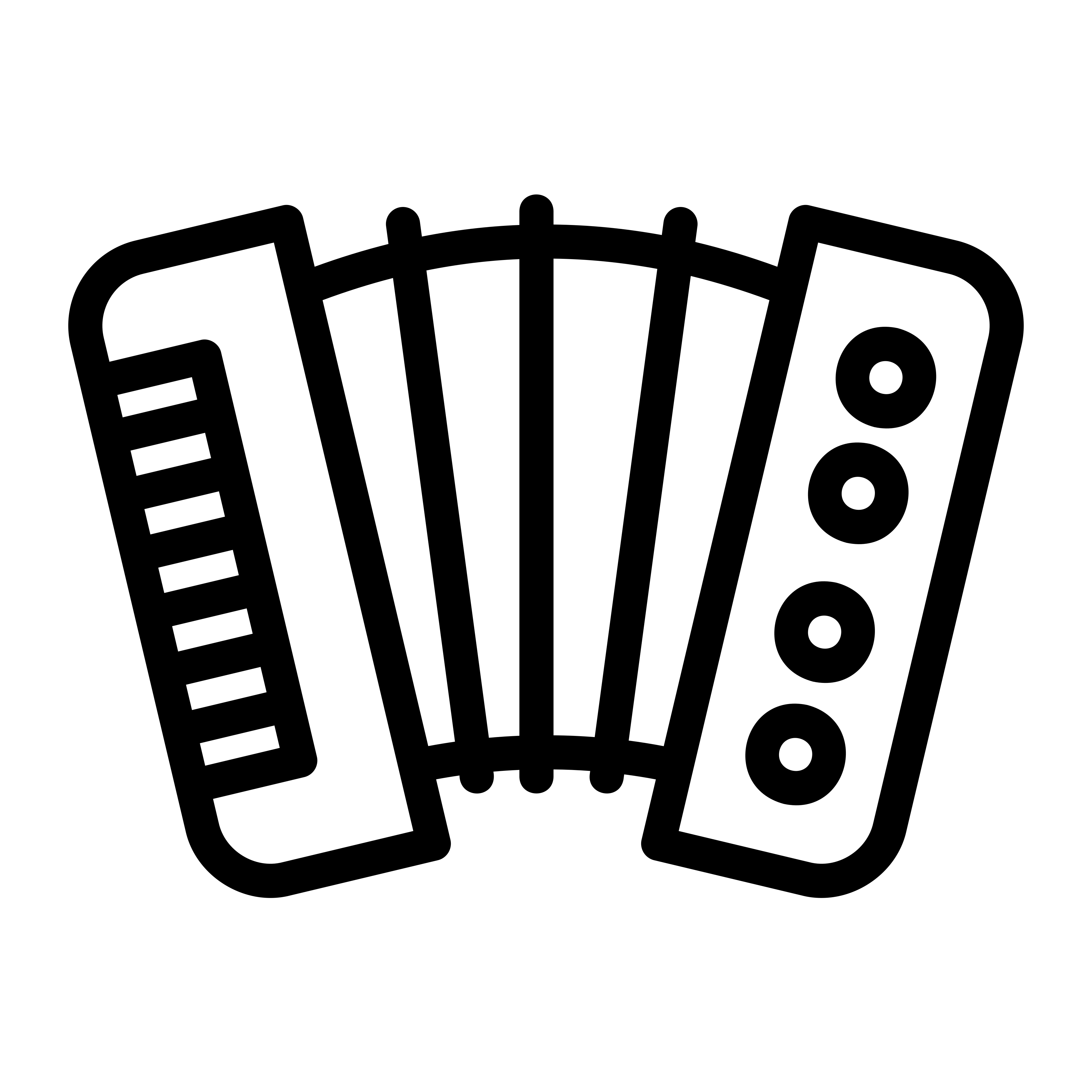 Beginner Accordion icon